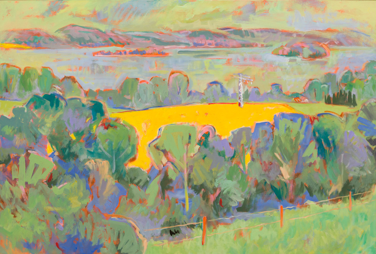 Landschaft mit Rapsfeld und See